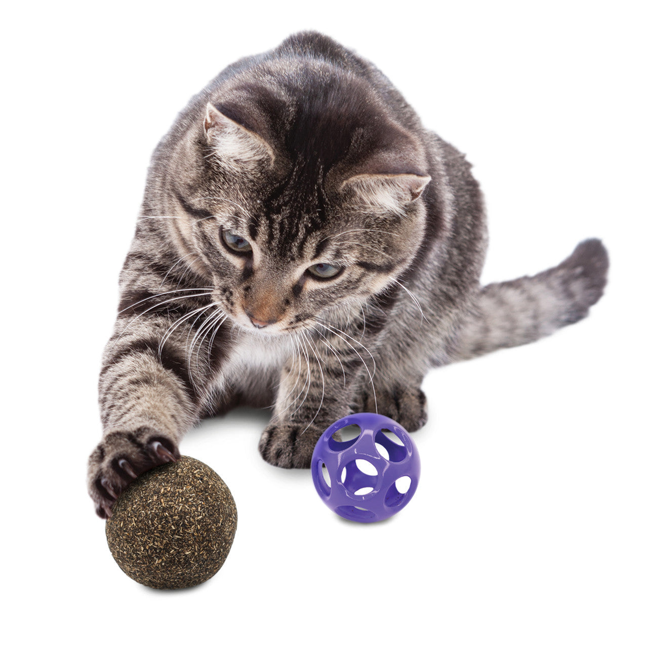 Blissy Moon Ball w/Catnip