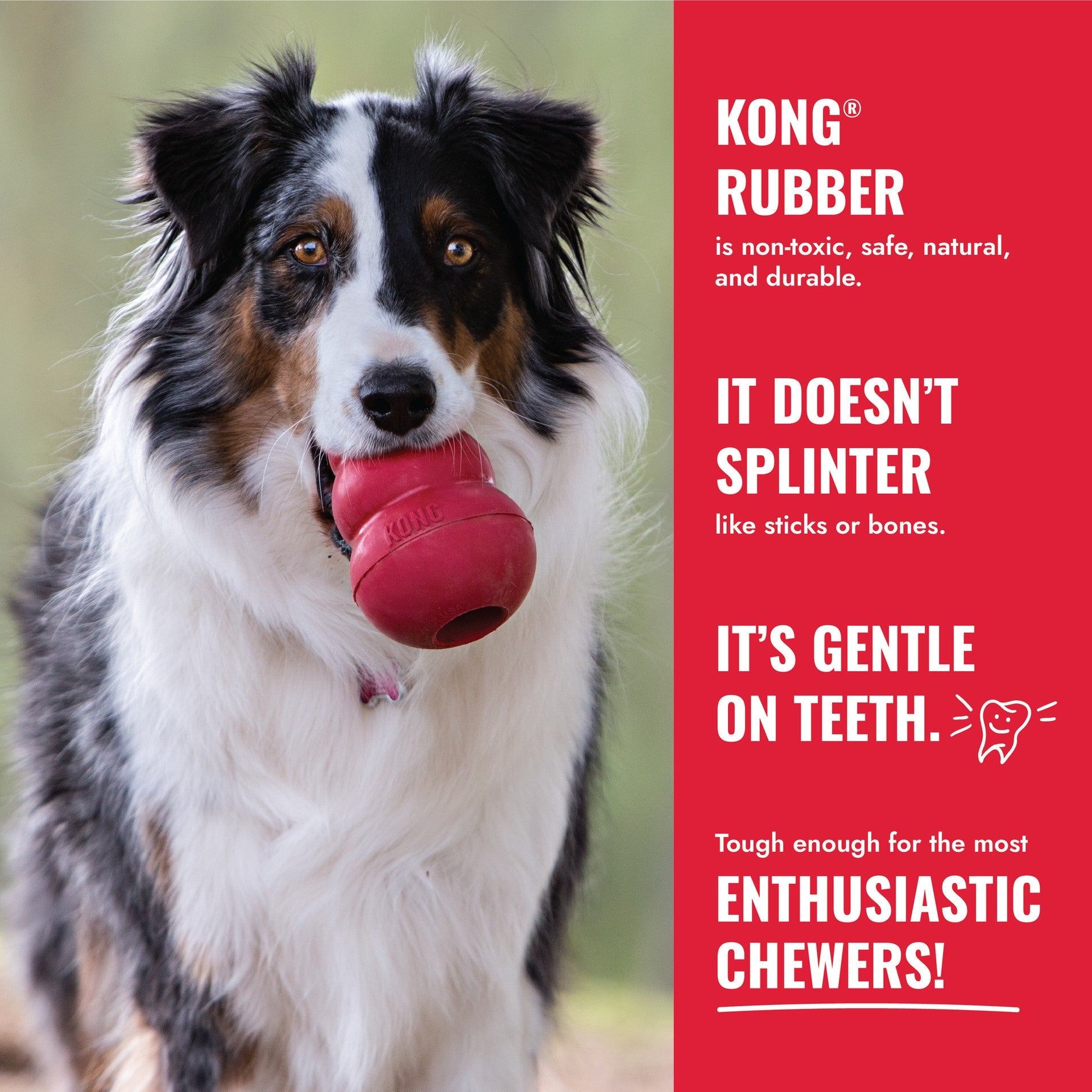 KONG Tug