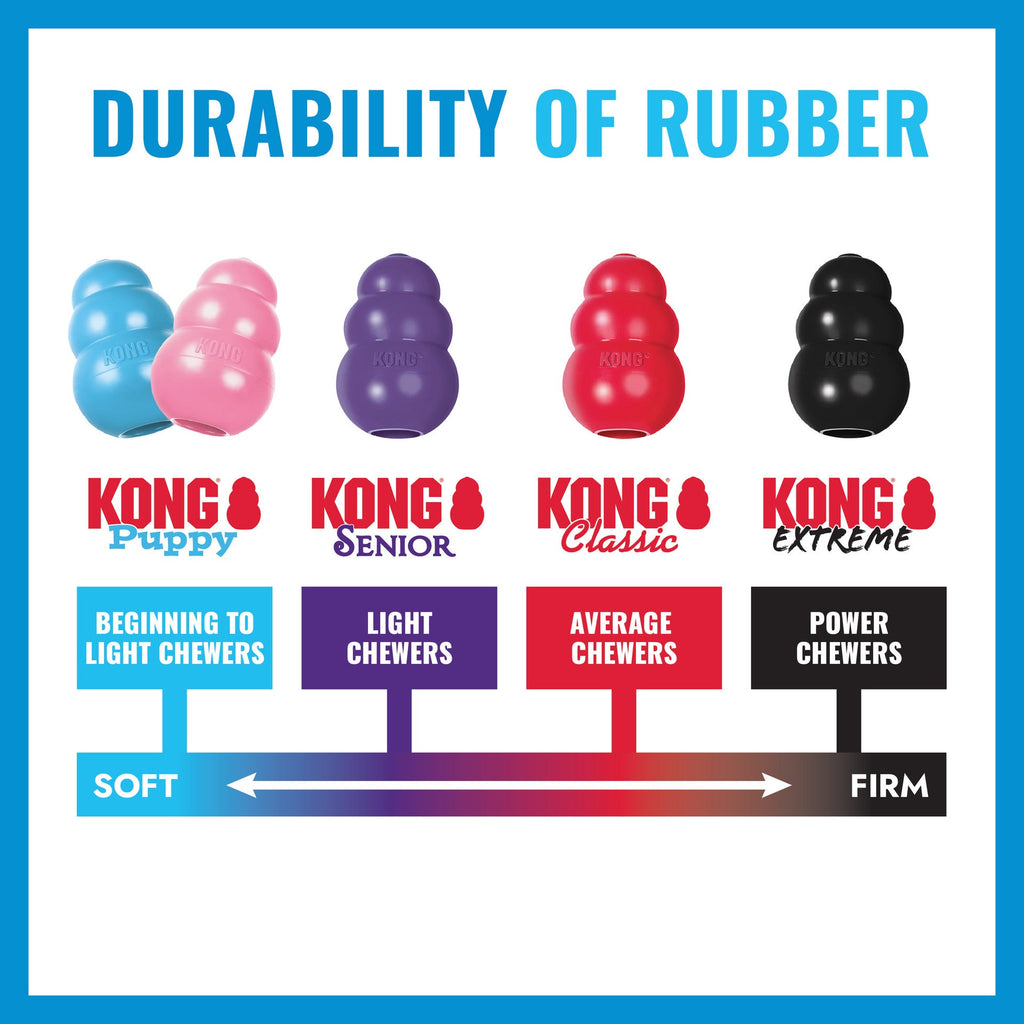 KONG Puppy Goodie Bone Blue