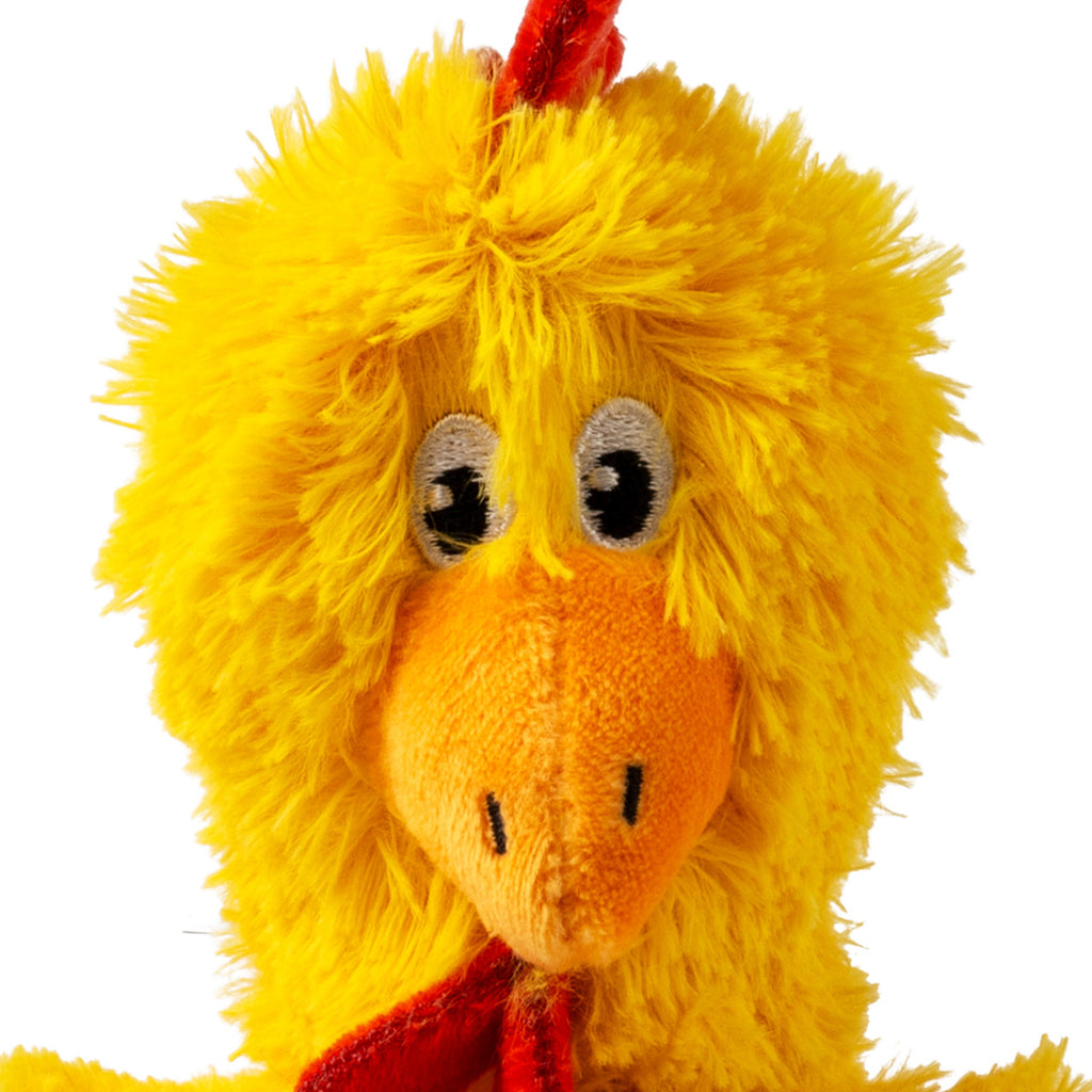 Knots Chicken