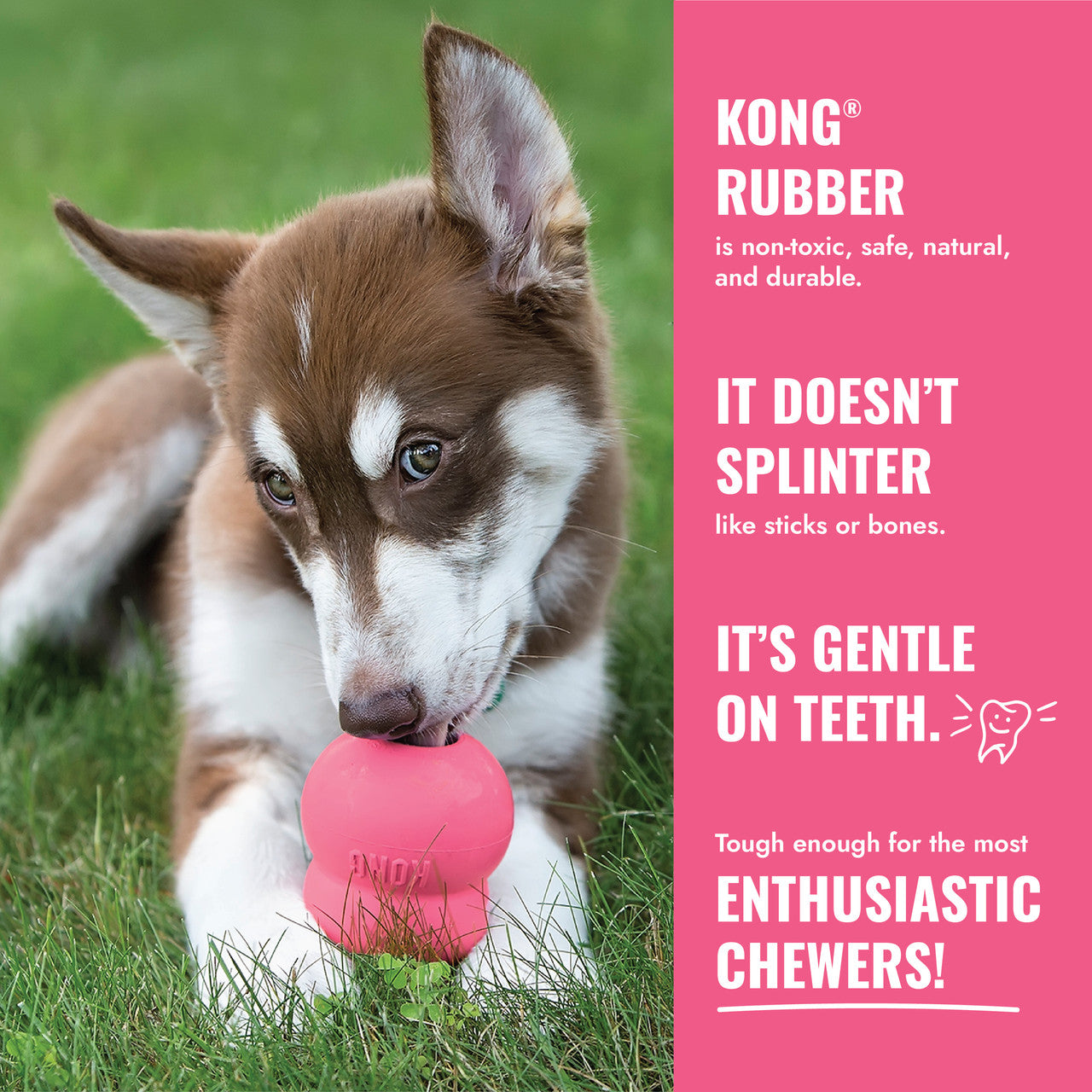 KONG Puppy Goodie Bone w/ Rope Pink